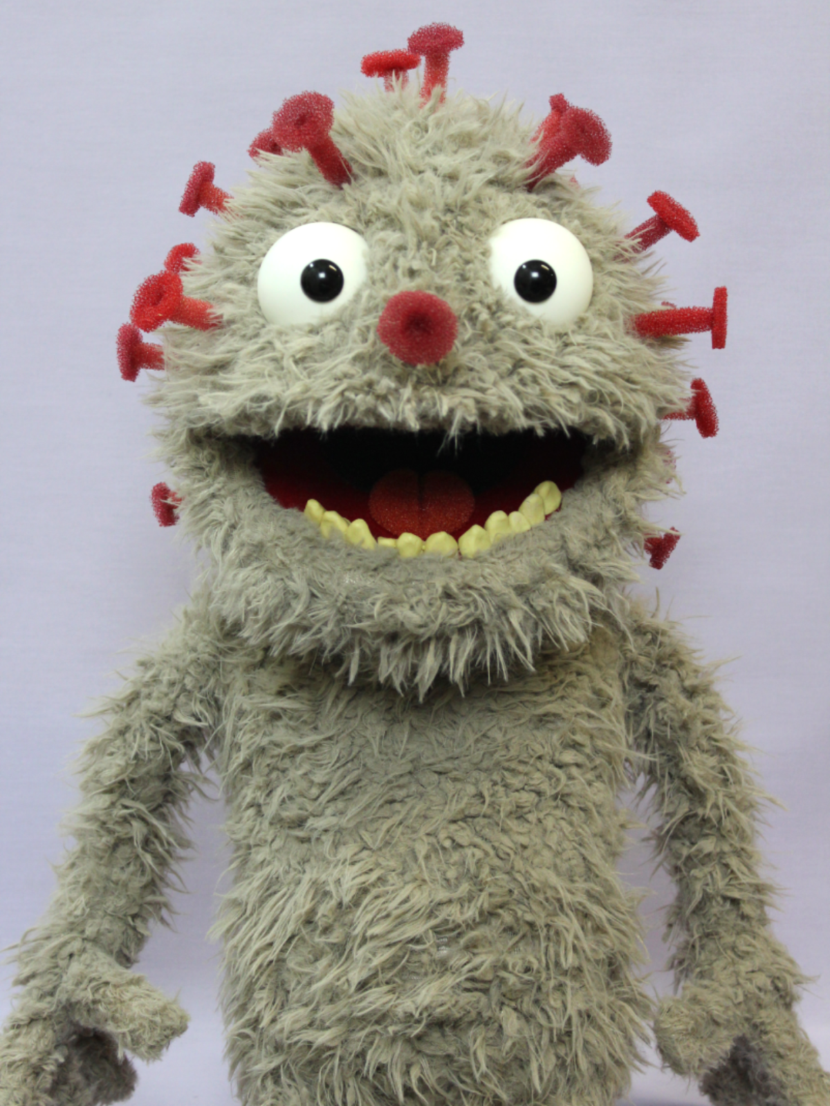 David Covid - Image 2