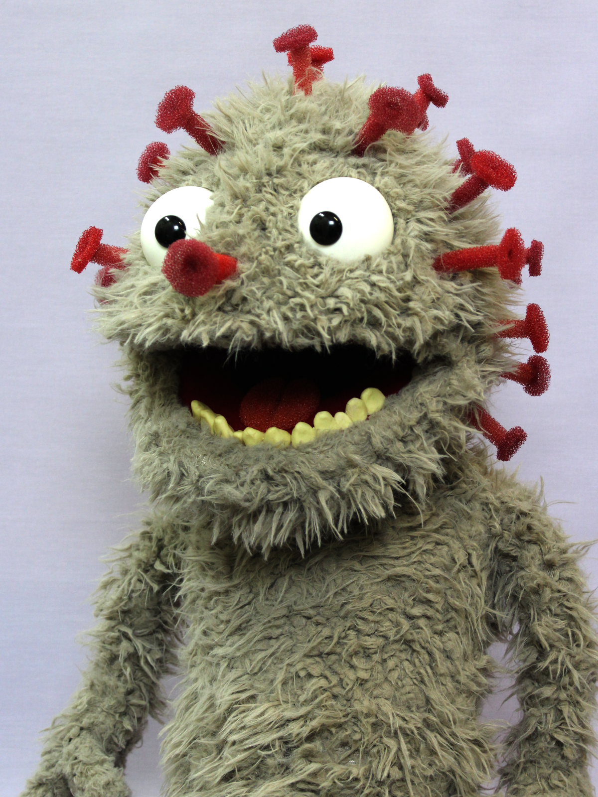 David Covid - Image 3