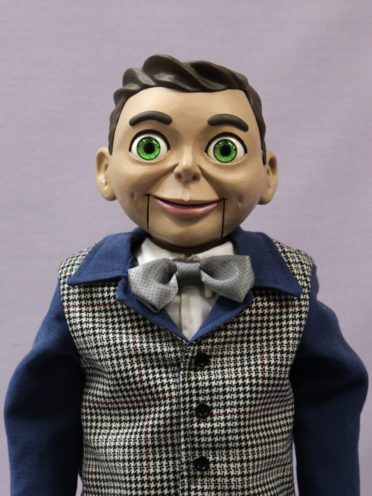 Chavi M Conroy - Imagen 4